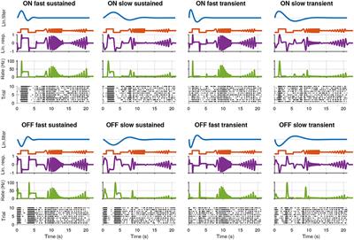 Non-parametric Physiological Classification of Retinal Ganglion Cells in the Mouse Retina